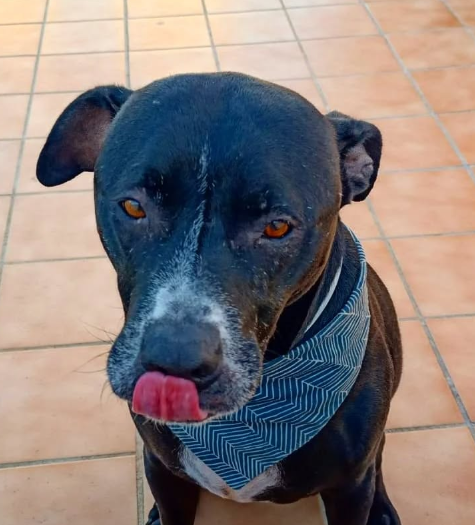 Mocador